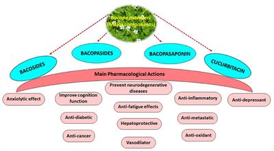 Pharmacological attributes of Bacopa monnieri extract: Current updates and clinical manifestation